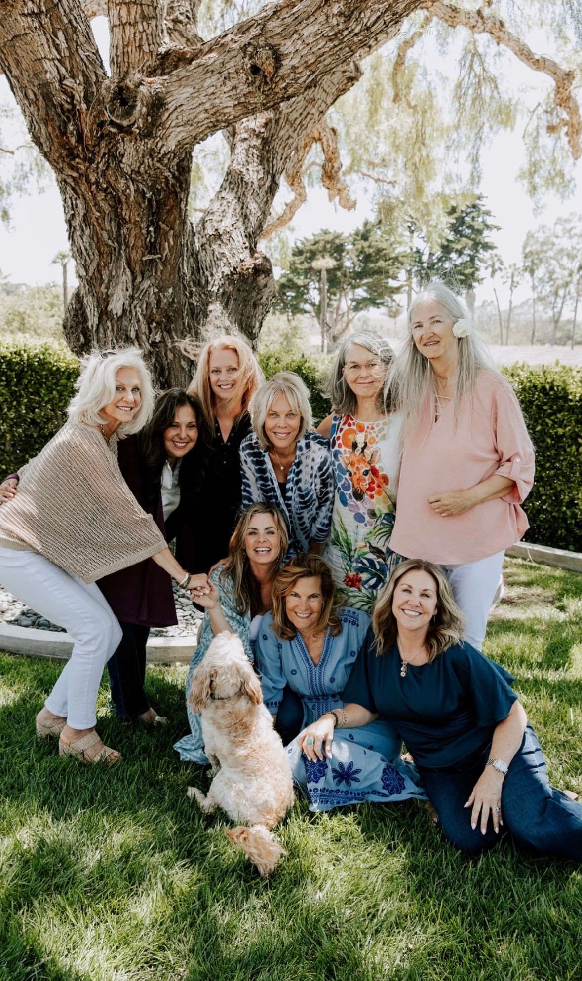 A joyful group of women gathered under a large tree in a sunlit garden