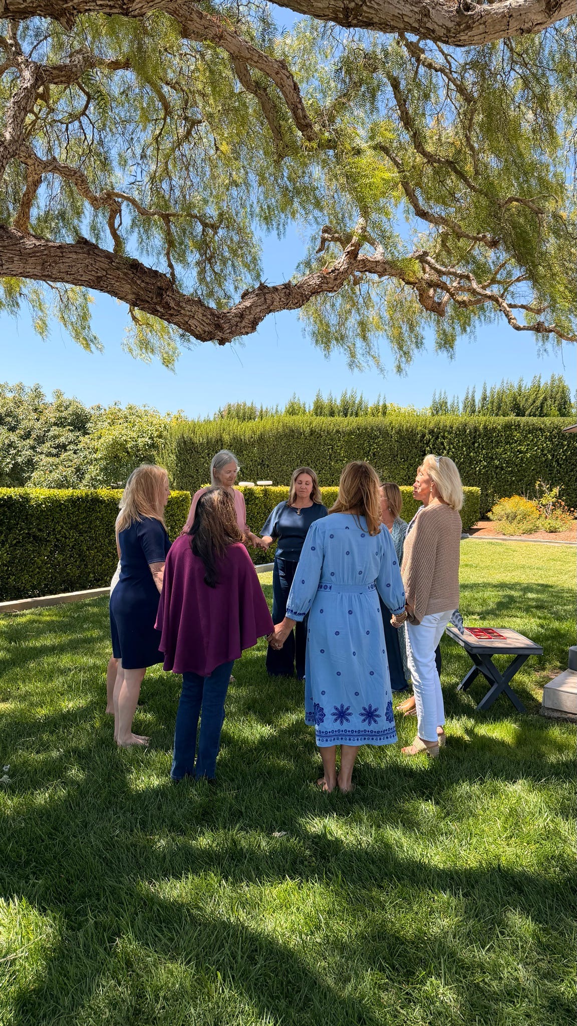 A group of women holding hands in a circle on the grass beneath a large overhanging tree branch